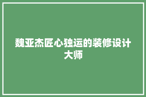 魏亚杰匠心独运的装修设计大师  第1张