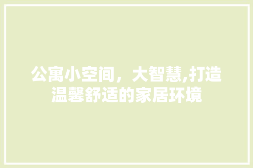 公寓小空间，大智慧,打造温馨舒适的家居环境