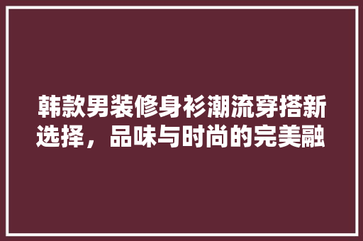 韩款男装修身衫潮流穿搭新选择，品味与时尚的完美融合