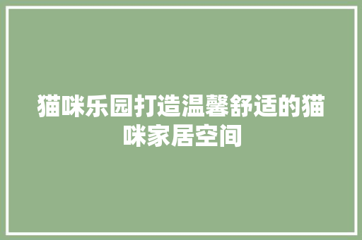 猫咪乐园打造温馨舒适的猫咪家居空间