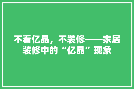 不看亿品,不装修——家居装修中的“亿品”现象
