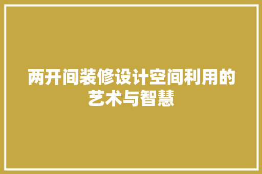 两开间装修设计空间利用的艺术与智慧