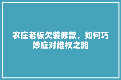 农庄老板欠装修款，如何巧妙应对维权之路