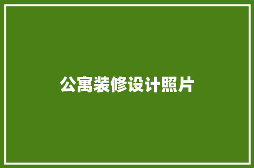 公寓装修设计照片