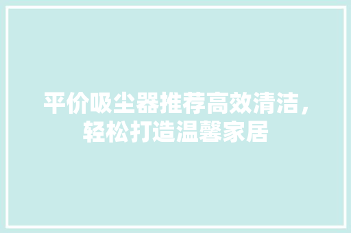 平价吸尘器推荐高效清洁，轻松打造温馨家居