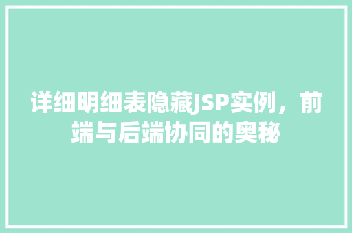 详细明细表隐藏JSP实例，前端与后端协同的奥秘