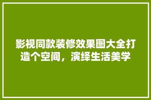影视同款装修效果图大全打造个空间，演绎生活美学