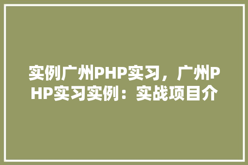 实例广州PHP实习,广州PHP实习实例:实战项目介绍