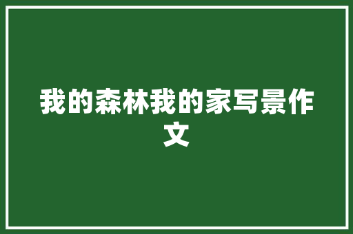 燃气灶选购攻略装修风格与燃气灶的完美搭配
