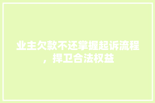 业主欠款不还掌握起诉流程，捍卫合法权益