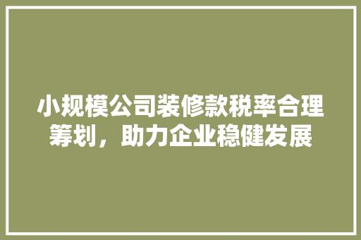 小规模公司装修款税率合理筹划,助力企业稳健发展