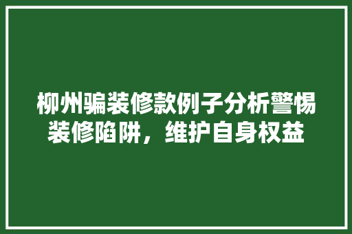 柳州骗装修款例子分析警惕装修陷阱，维护自身权益
