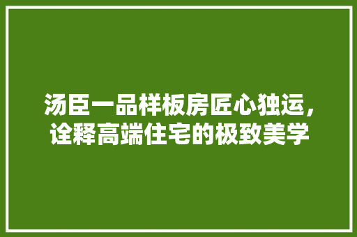 汤臣一品样板房匠心独运，诠释高端住宅的极致美学