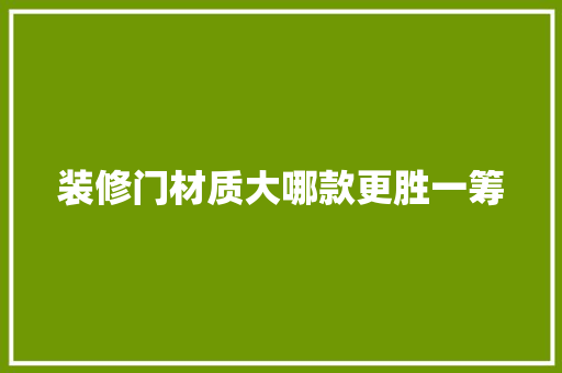 装修门材质大哪款更胜一筹