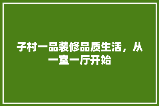 子村一品装修品质生活，从一室一厅开始