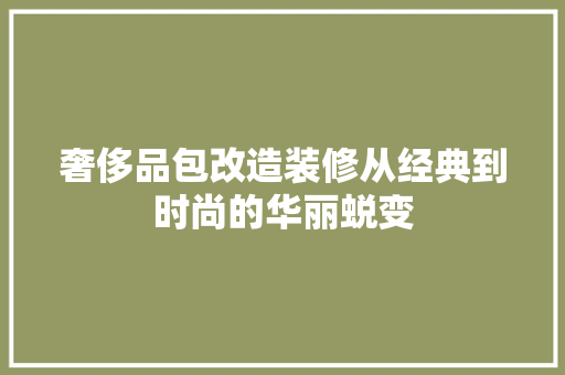 奢侈品包改造装修从经典到时尚的华丽蜕变