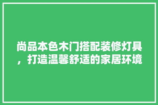 尚品本色木门搭配装修灯具，打造温馨舒适的家居环境