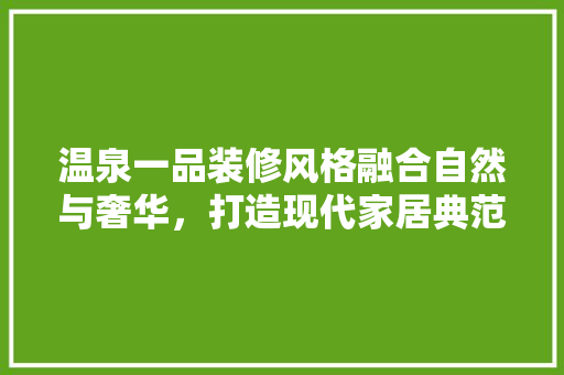 温泉一品装修风格融合自然与奢华，打造现代家居典范