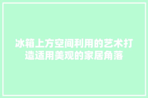 冰箱上方空间利用的艺术打造适用美观的家居角落