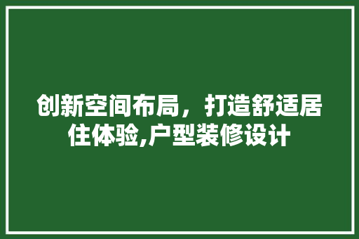 创新空间布局,打造舒适居住体验,户型装修设计