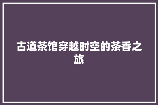 古道茶馆穿越时空的茶香之旅
