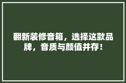 翻新装修音箱，选择这款品牌，音质与颜值并存！