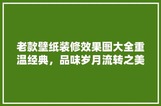 老款壁纸装修效果图大全重温经典，品味岁月流转之美
