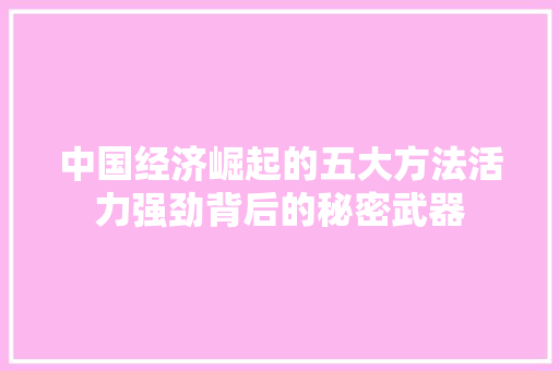 中国经济崛起的五大方法活力强劲背后的秘密武器