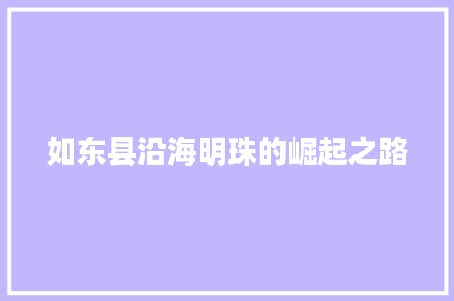 如东县沿海明珠的崛起之路