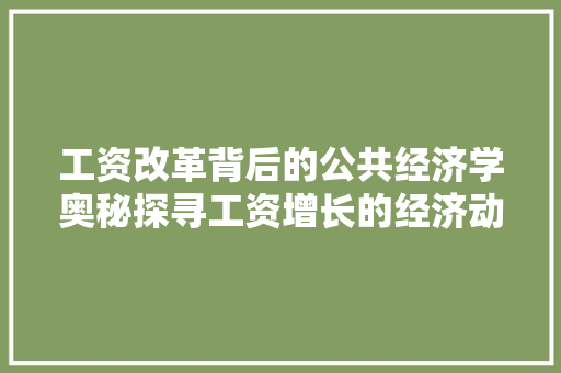 工资改革背后的公共经济学奥秘探寻工资增长的经济动力