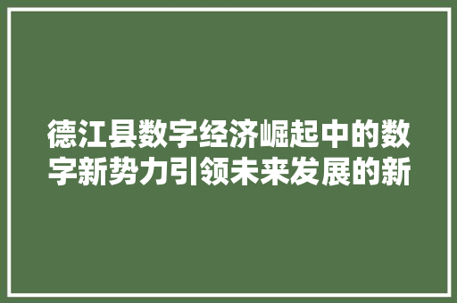 德江县数字经济崛起中的数字新势力引领未来发展的新引擎