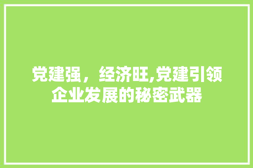 党建强，经济旺,党建引领企业发展的秘密武器