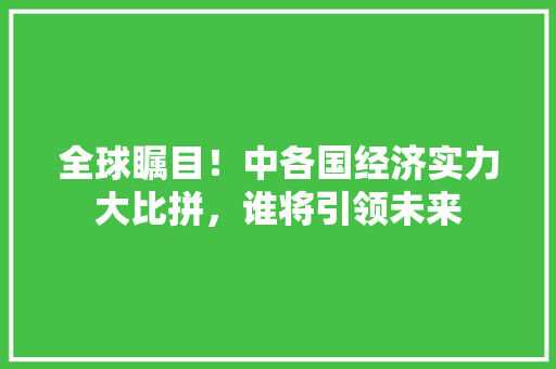 全球瞩目！中各国经济实力大比拼，谁将引领未来