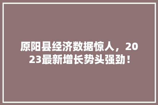 原阳县经济数据惊人，2023最新增长势头强劲！