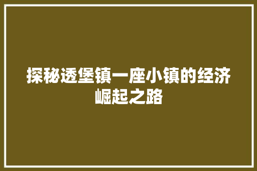 探秘透堡镇一座小镇的经济崛起之路