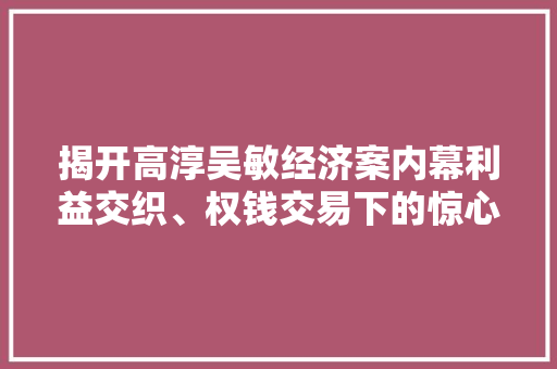 揭开高淳吴敏经济案内幕利益交织、权钱交易下的惊心动魄