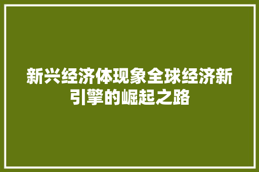 新兴经济体现象全球经济新引擎的崛起之路