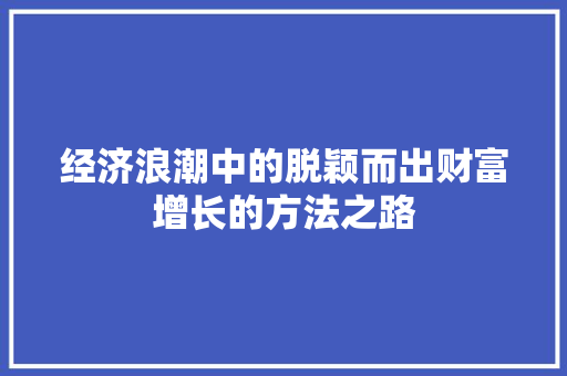 经济浪潮中的脱颖而出财富增长的方法之路