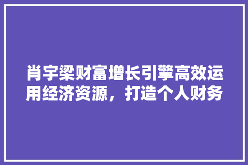 肖宇梁财富增长引擎高效运用经济资源，打造个人财务自由之路