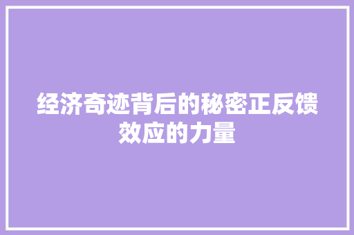 经济奇迹背后的秘密正反馈效应的力量