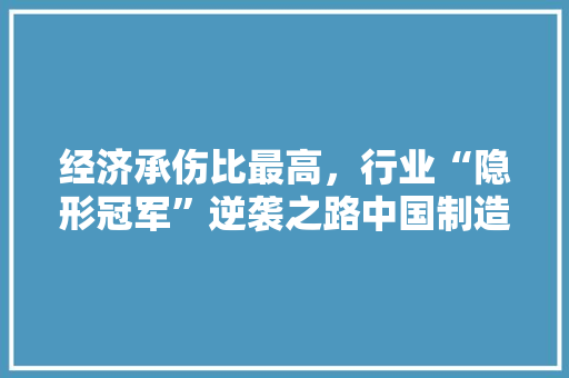 经济承伤比最高，行业“隐形冠军”逆袭之路中国制造的秘密武器