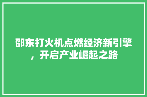 邵东打火机点燃经济新引擎，开启产业崛起之路  第1张