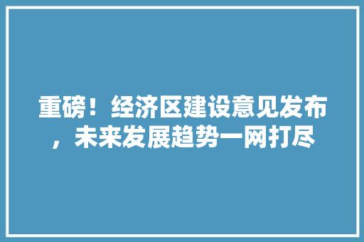 重磅！经济区建设意见发布，未来发展趋势一网打尽