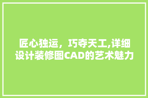 匠心独运,巧夺天工,详细设计装修图CAD的艺术魅力
