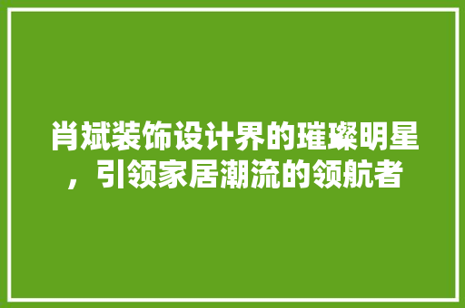 肖斌装饰设计界的璀璨明星，引领家居潮流的领航者