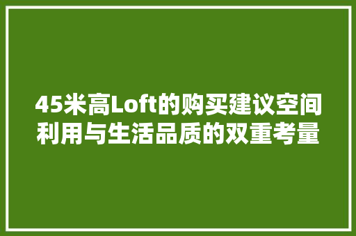 45米高Loft的购买建议空间利用与生活品质的双重考量